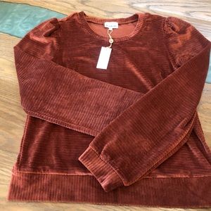 Super soft corduroy-like puff sleeve top!